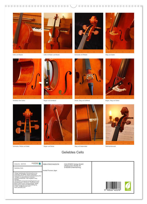 Geliebtes Cello (CALVENDO Premium Wandkalender 2026)
