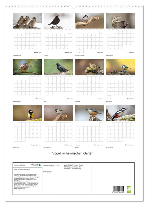 Vögel im heimischen Garten (CALVENDO Wandkalender 2026)