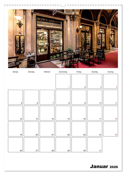 Mein Wien. Juwel an der Donau (CALVENDO Premium Wandkalender 2026)