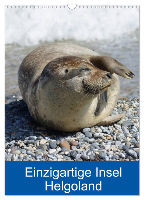 Einzigartige Insel Helgoland (CALVENDO Wandkalender 2026)