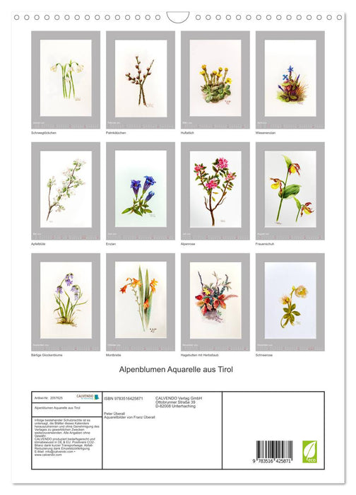 Alpenblumen Aquarelle aus Tirol (CALVENDO Wandkalender 2026)
