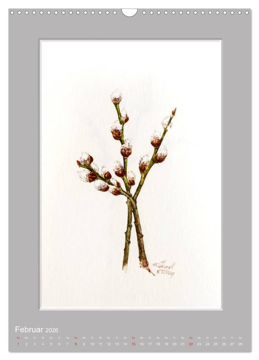 Alpenblumen Aquarelle aus Tirol (CALVENDO Wandkalender 2026)