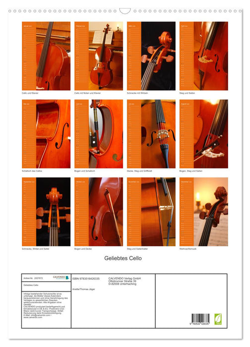 Geliebtes Cello (CALVENDO Wandkalender 2026)