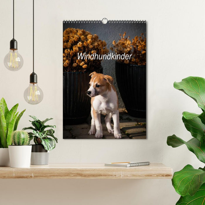 Windhundkinder (CALVENDO Wandkalender 2026)