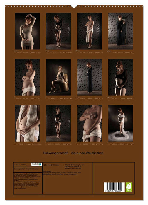 Schwangerschaft - die runde Weiblichkeit (CALVENDO Premium Wandkalender 2026)
