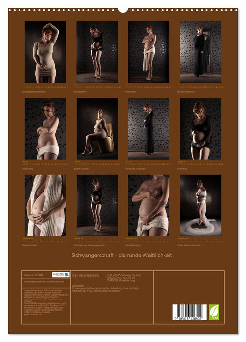 Schwangerschaft - die runde Weiblichkeit (CALVENDO Premium Wandkalender 2026)