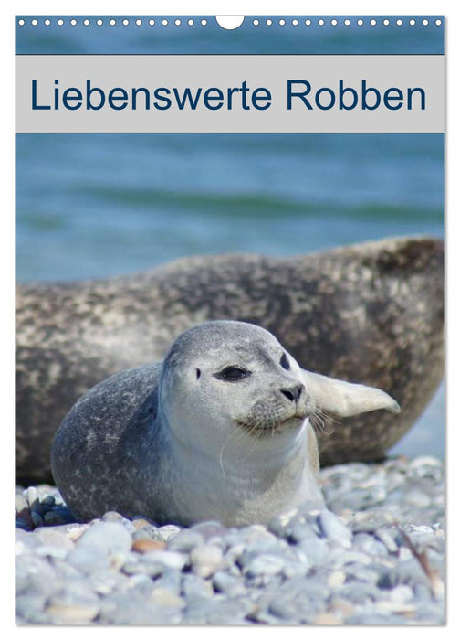 Liebenswerte Robben (CALVENDO Wandkalender 2026)