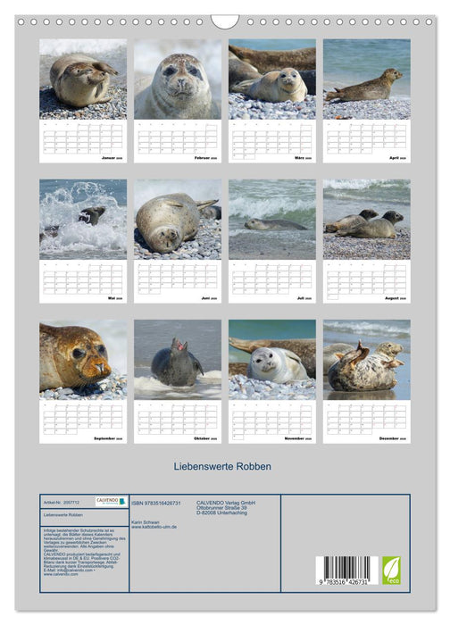 Liebenswerte Robben (CALVENDO Wandkalender 2026)