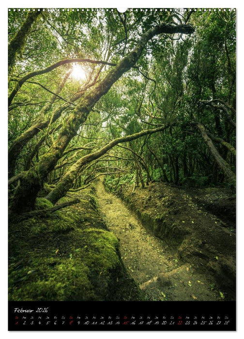 Teneriffa Eine Rundreise (CALVENDO Wandkalender 2026)