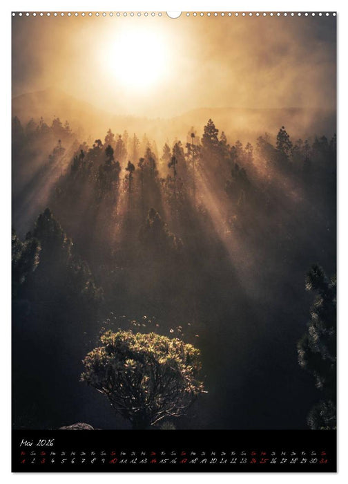 Teneriffa Eine Rundreise (CALVENDO Wandkalender 2026)