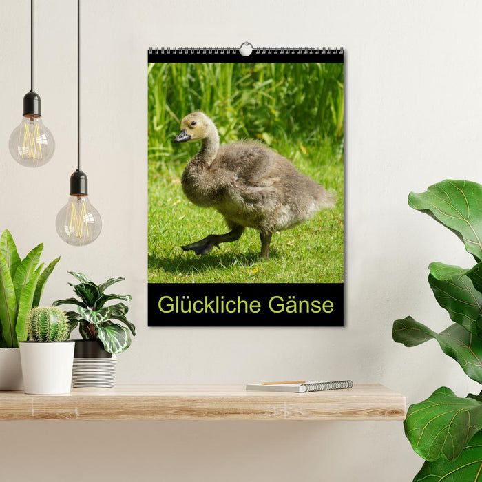 Glückliche Gänse (CALVENDO Wandkalender 2026)