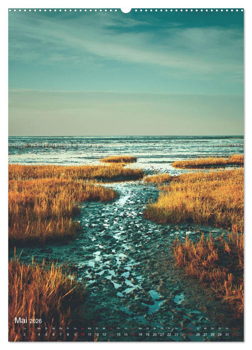 Farbenpracht Nordsee (CALVENDO Wandkalender 2026)