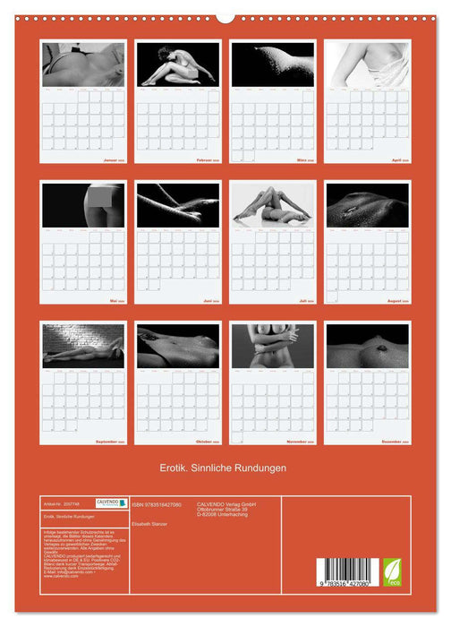 Erotik. Sinnliche Rundungen (CALVENDO Premium Wandkalender 2026)