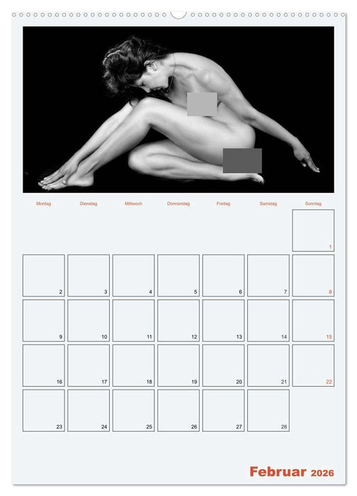 Erotik. Sinnliche Rundungen (CALVENDO Premium Wandkalender 2026)