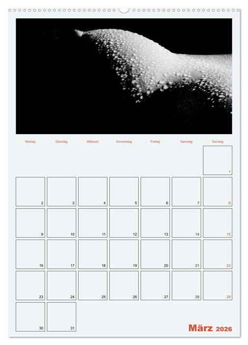 Erotik. Sinnliche Rundungen (CALVENDO Premium Wandkalender 2026)
