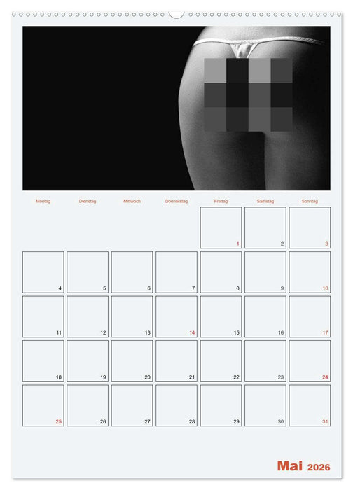 Erotik. Sinnliche Rundungen (CALVENDO Premium Wandkalender 2026)