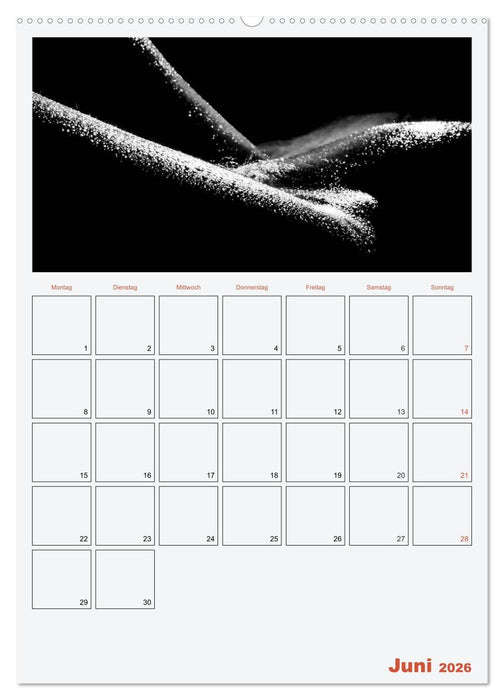 Erotik. Sinnliche Rundungen (CALVENDO Premium Wandkalender 2026)