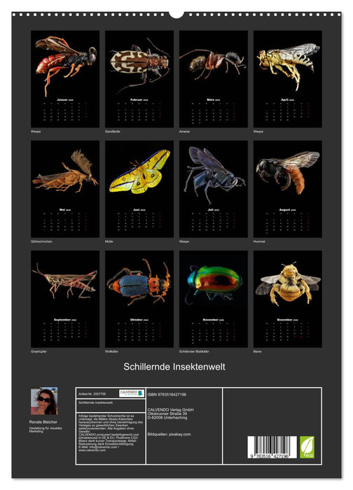 Schillernde Insektenwelt (CALVENDO Premium Wandkalender 2026)