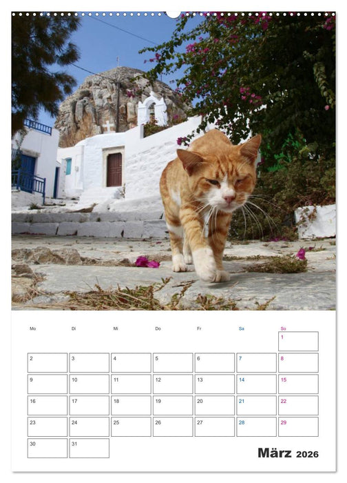 Griechisches Allerlei (CALVENDO Premium Wandkalender 2026)