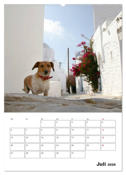 Griechisches Allerlei (CALVENDO Premium Wandkalender 2026)
