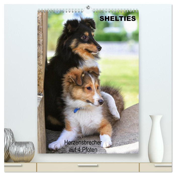 SHELTIES Herzensbrecher auf 4 Pfoten (CALVENDO Premium Wandkalender 2026)