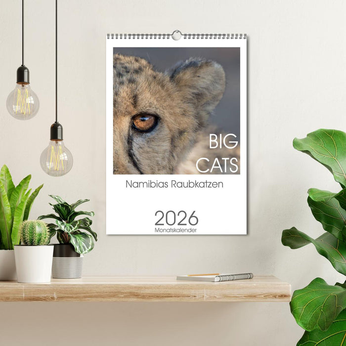 BIG CATS - Namibias Raubkatzen (CALVENDO Wandkalender 2026)