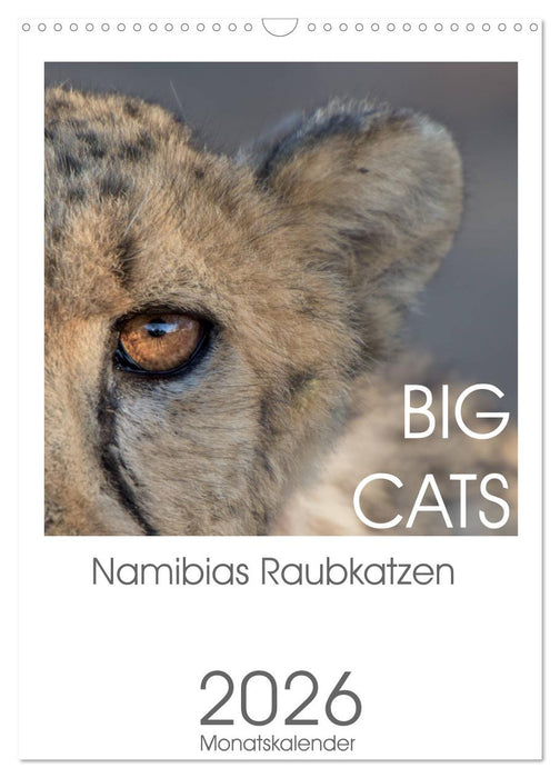 BIG CATS - Namibias Raubkatzen (CALVENDO Wandkalender 2026)