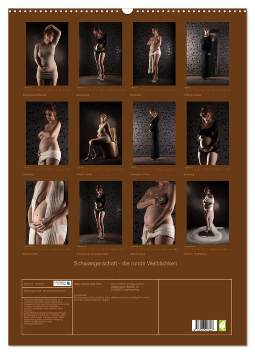 Schwangerschaft - die runde Weiblichkeit (CALVENDO Wandkalender 2026)
