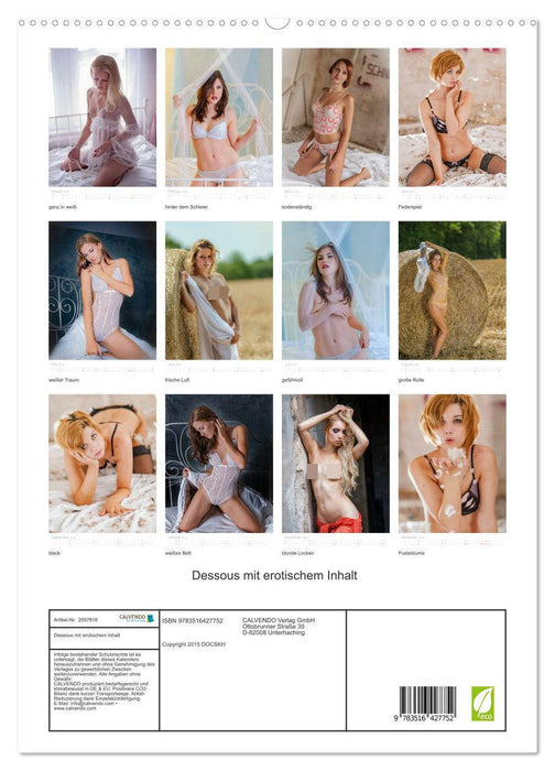 Dessous mit erotischem Inhalt (CALVENDO Premium Wandkalender 2026)