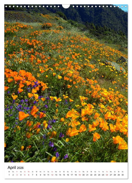 Teneriffa - Insel der Glückseligen (CALVENDO Wandkalender 2026)