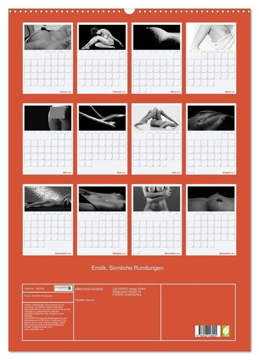 Erotik. Sinnliche Rundungen (CALVENDO Wandkalender 2026)
