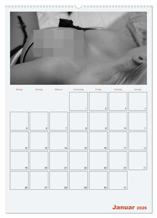 Erotik. Sinnliche Rundungen (CALVENDO Wandkalender 2026)