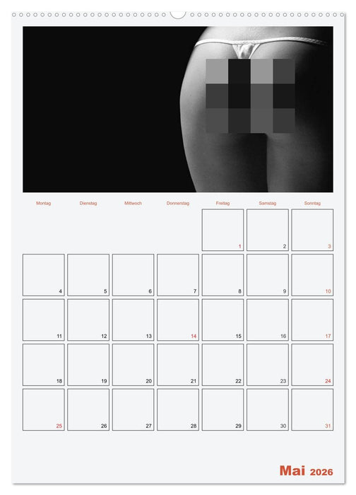 Erotik. Sinnliche Rundungen (CALVENDO Wandkalender 2026)