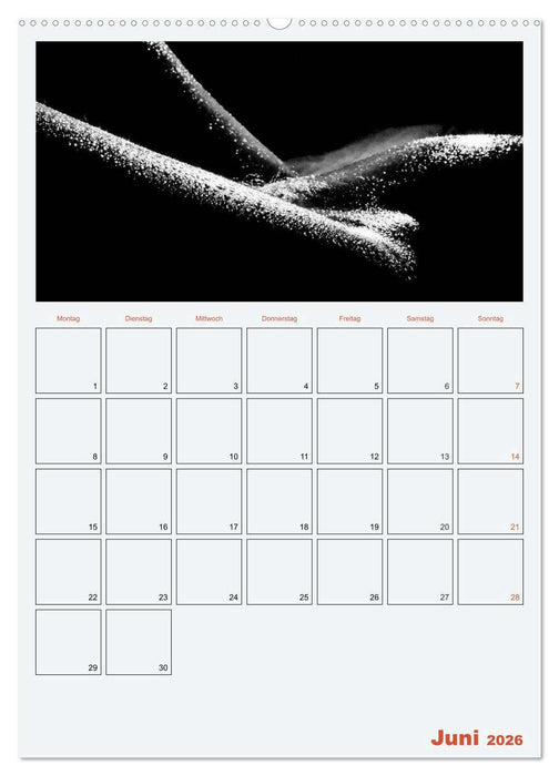 Erotik. Sinnliche Rundungen (CALVENDO Wandkalender 2026)