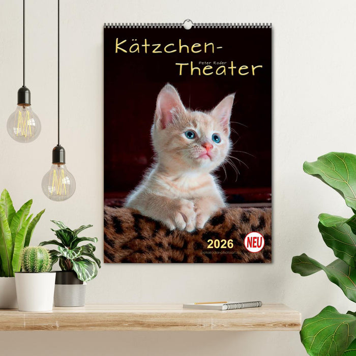 Kätzchen - Theater (CALVENDO Wandkalender 2026)