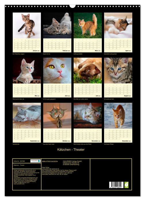 Kätzchen - Theater (CALVENDO Wandkalender 2026)