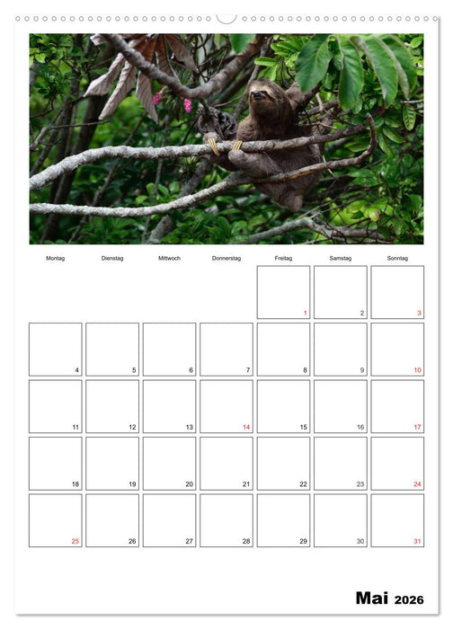 Brasilien. Wo die Sonne wohnt (CALVENDO Premium Wandkalender 2026)