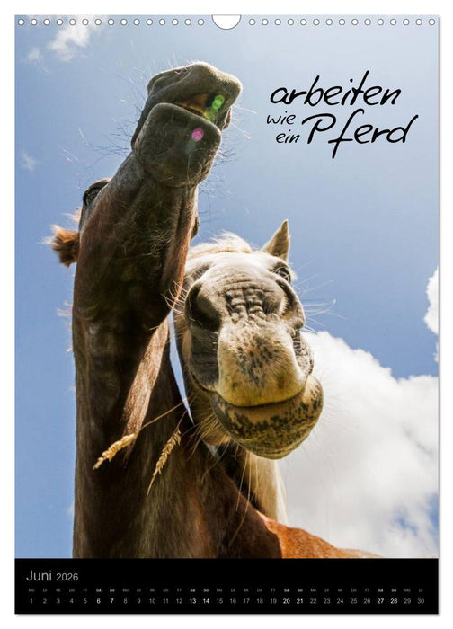 Motivationskalender 2026 (CALVENDO Wandkalender 2026)