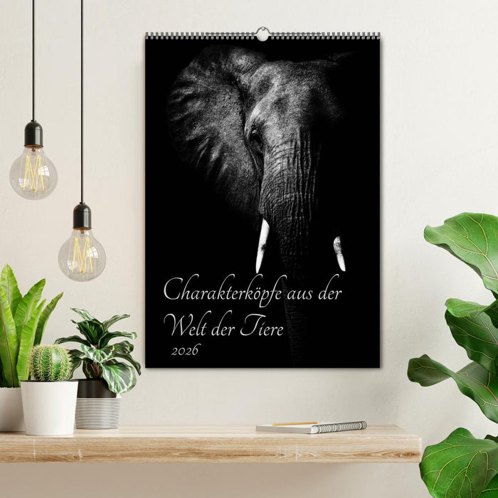 Charakterköpfe aus der Welt der Tiere (CALVENDO Wandkalender 2026)