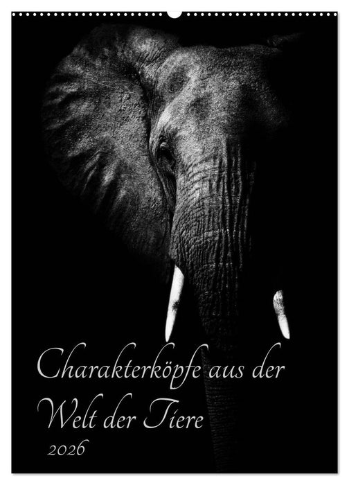 Charakterköpfe aus der Welt der Tiere (CALVENDO Wandkalender 2026)
