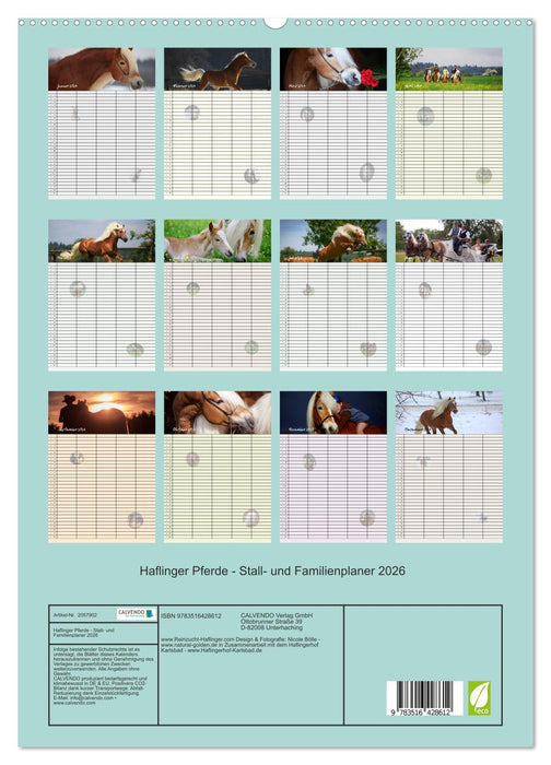 Haflinger Pferde - Stall- und Familienplaner 2026 (CALVENDO Premium Wandkalender 2026)