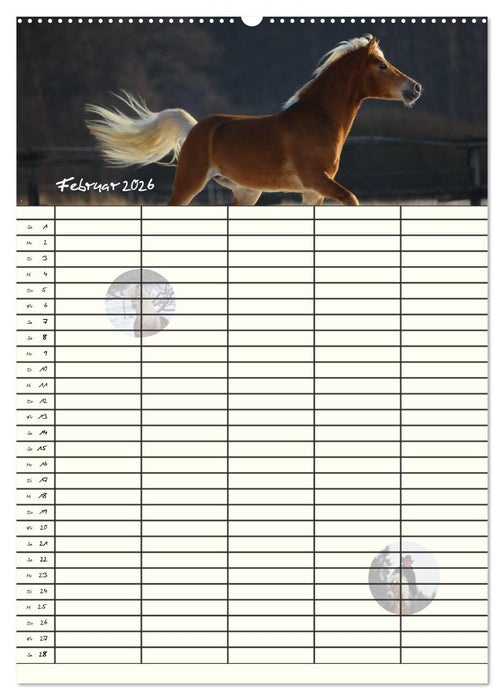 Haflinger Pferde - Stall- und Familienplaner 2026 (CALVENDO Premium Wandkalender 2026)
