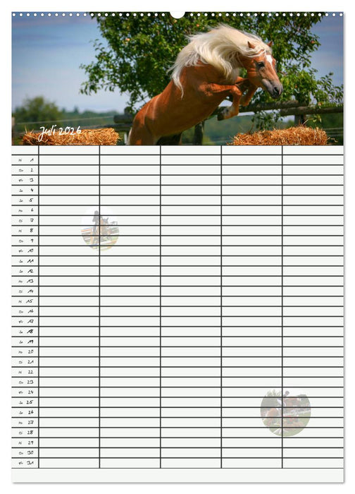 Haflinger Pferde - Stall- und Familienplaner 2026 (CALVENDO Premium Wandkalender 2026)