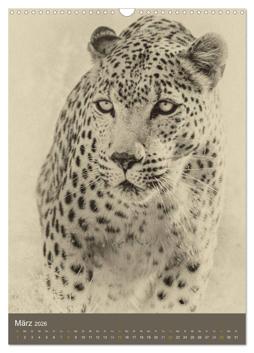 Afrikas Tierwelt - Sepia-Art (CALVENDO Wandkalender 2026)
