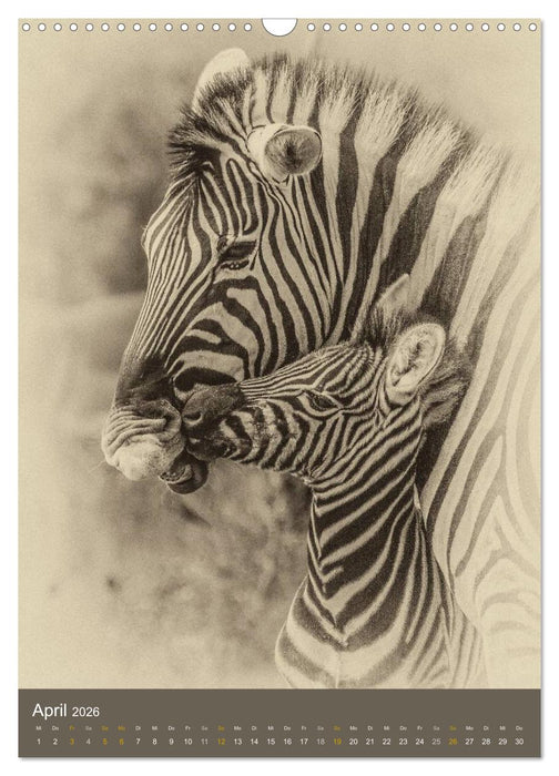 Afrikas Tierwelt - Sepia-Art (CALVENDO Wandkalender 2026)