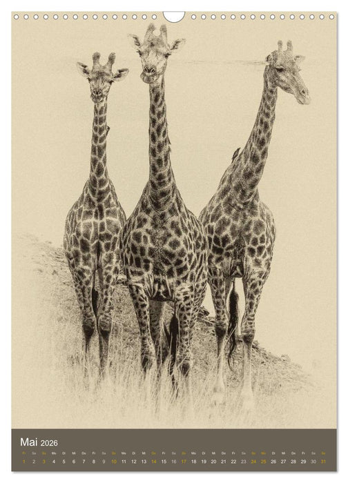 Afrikas Tierwelt - Sepia-Art (CALVENDO Wandkalender 2026)