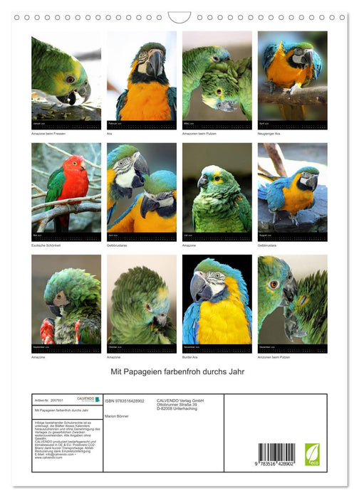 Mit Papageien farbenfroh durchs Jahr (CALVENDO Wandkalender 2026)
