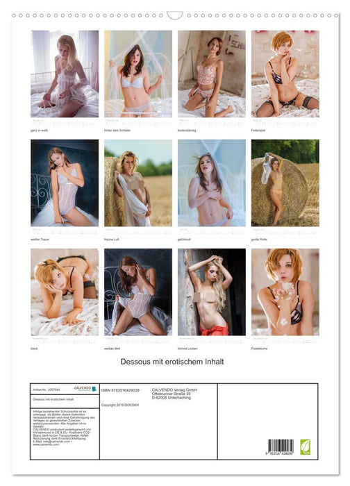 Dessous mit erotischem Inhalt (CALVENDO Wandkalender 2026)
