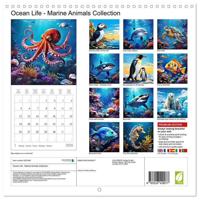 Ocean Life - Marine Animals Collection (CALVENDO Monthly Calendar 2026)