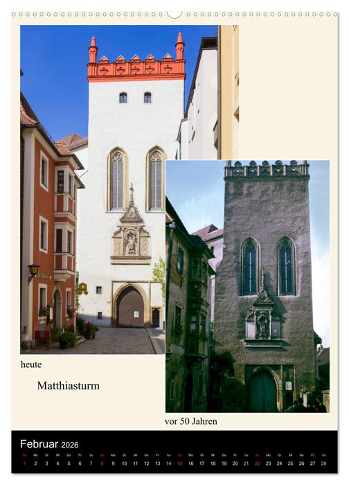 Bautzen vor 50 Jahren und heute (CALVENDO Premium Wandkalender 2026)